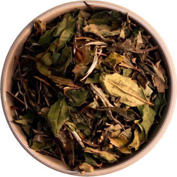 Bio Pai Mu Tan – Exquisiter Weißer Tee aus Fujian, bekannt als ‚Weiße Pfingstrose‘, mit eleganten, würzigen Aromen und bernsteinfarbener Tasse