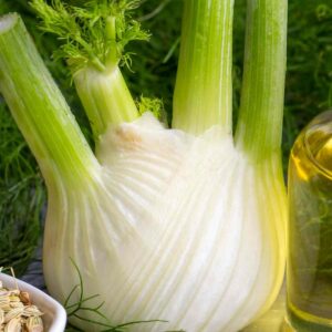 Tee mit Fenchel