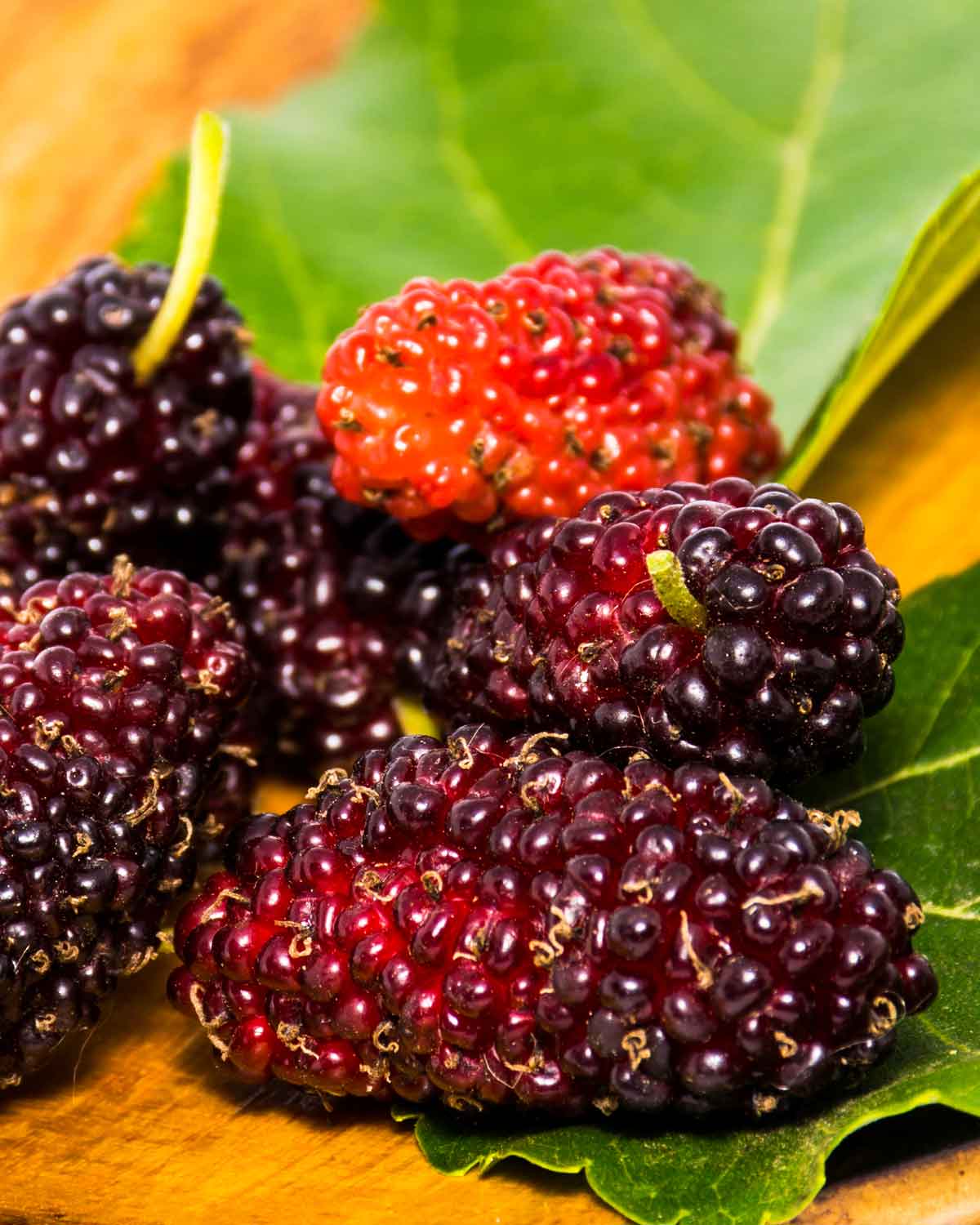 Tee mit Maulbeeren