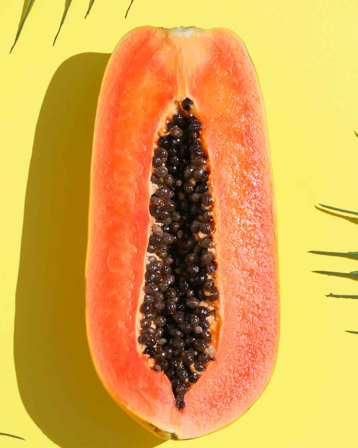 Tee mit Papaya