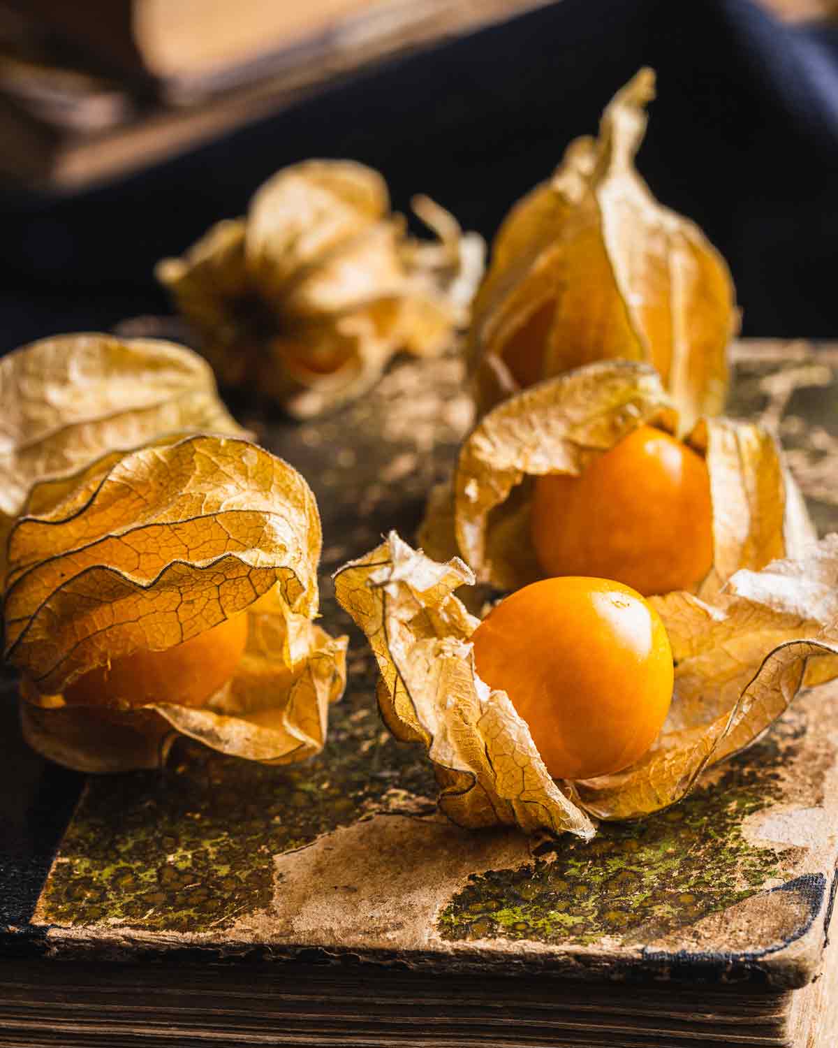 Tee mit Physalis