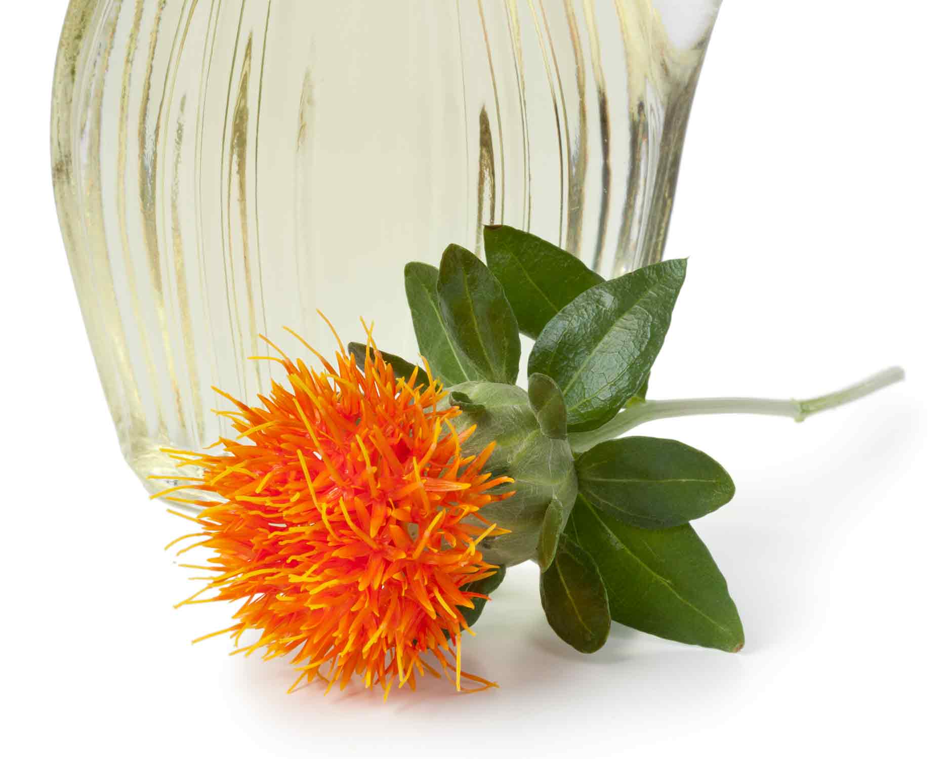 Tee mit Saflorblüte