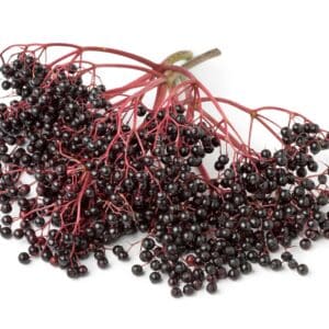 Tee mit Fliederbeeren