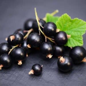 Tee mit Johannisbeeren