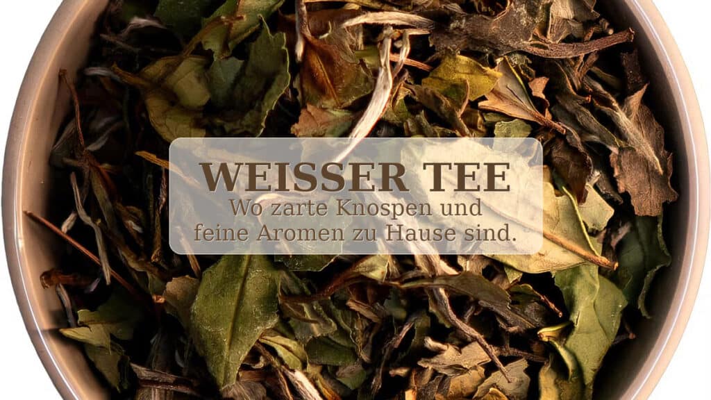 Weißer Tee Beitragsbild mit Pai Mu Tan Blättern und Text zur Herkunft, zum Geschmack und zur Zubereitung von Weißtee